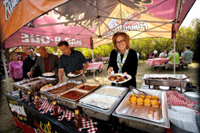 BBQ Catering Outdoor Picnic